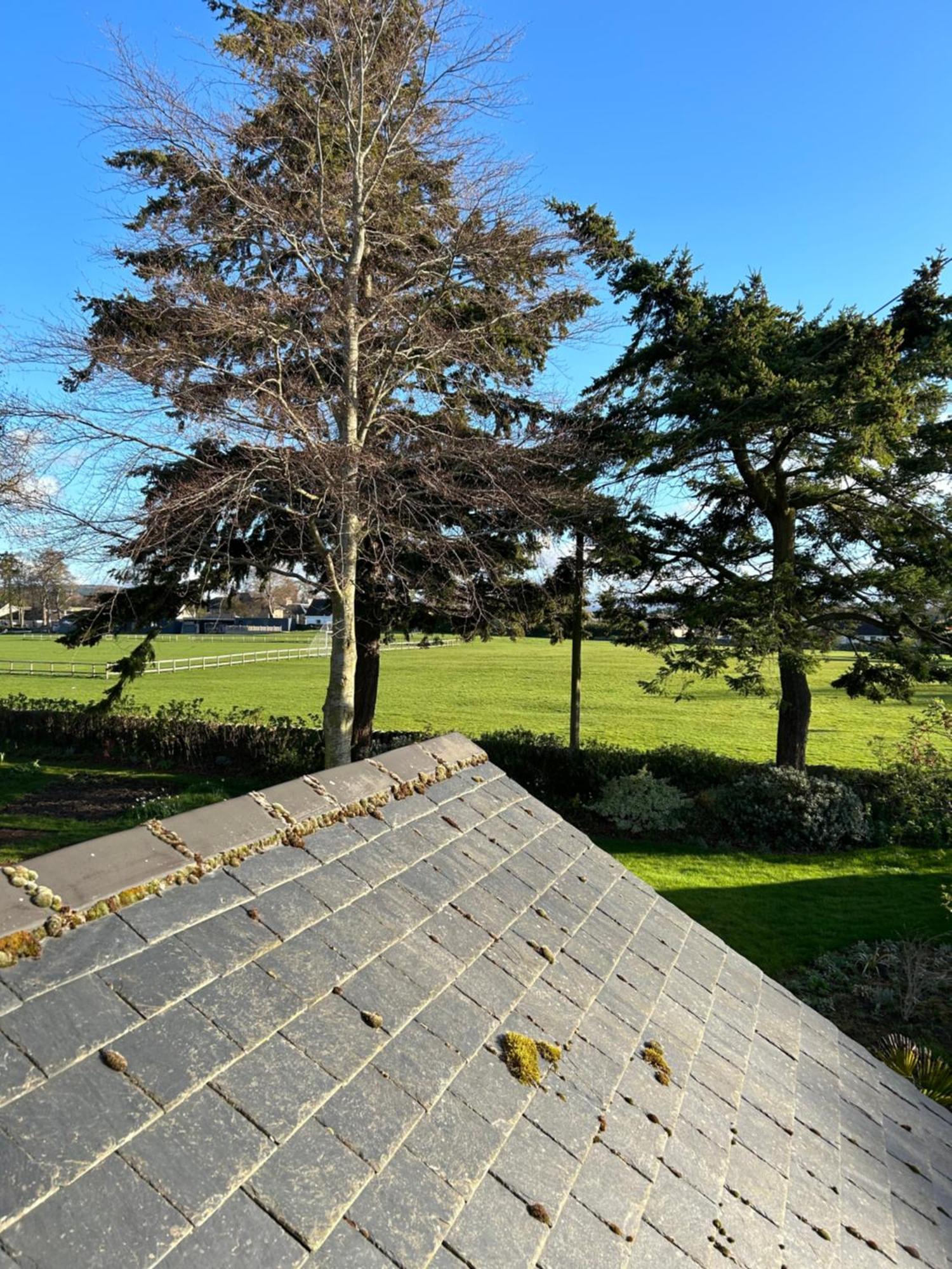 Glen Lyon Lodge Bed And Breakfast 奈恩 外观 照片